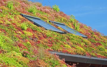 Llanddaniel Fab living roof systems