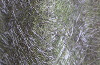 Llanddaniel Fab fibreglass roof work